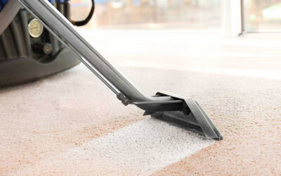 Why Professional Carpet Cleaning Matters – Especially in Gold Coast, Brisbane, Logan & Tweed Heads