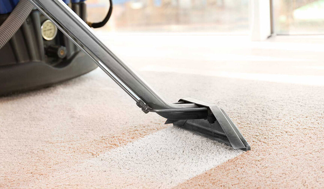 Revive Your Carpets with Professional Carpet Cleaning Services in Gold Coast & Beyond