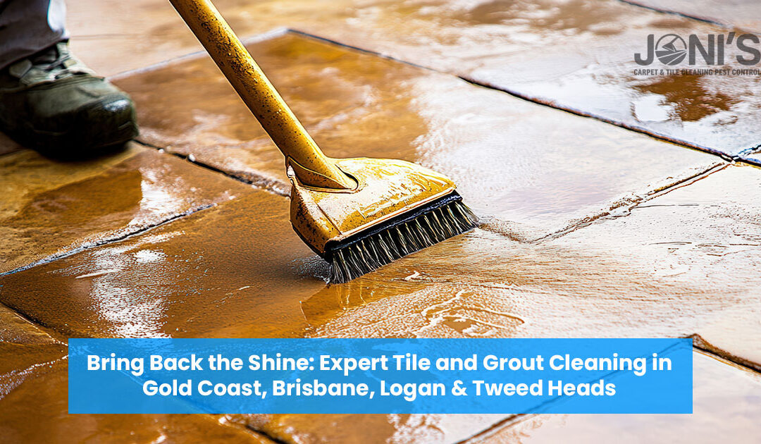 Bring Back the Shine: Expert Tile and Grout Cleaning in Gold Coast, Brisbane, Logan & Tweed Heads