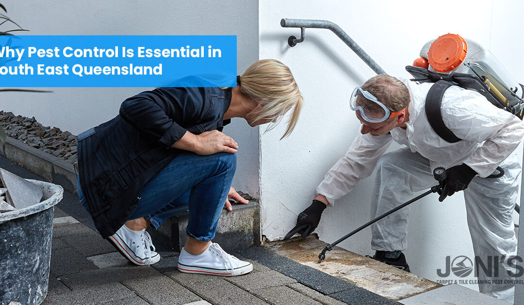 Why Pest Control Is Essential in South East Queensland