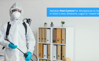 Reliable Pest Control for Workplaces & Facilities in Gold Coast, Brisbane, Logan & Tweed Heads