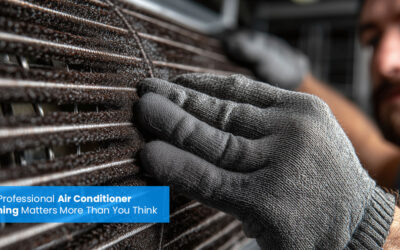 Cool, Clean & Efficient: Why Professional Air Conditioner Cleaning Matters More Than You Think