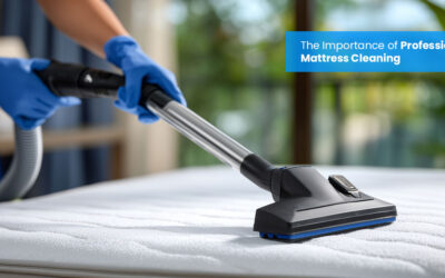 Healthier Sleep Starts Here: The Importance of Professional Mattress Cleaning