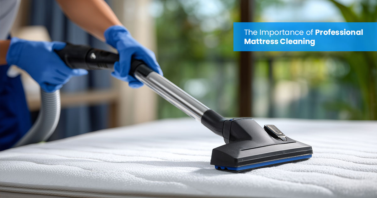 Mattress Cleaning