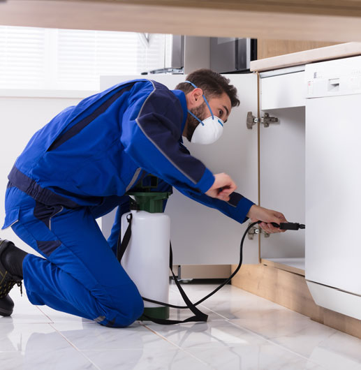 Pest Control Services