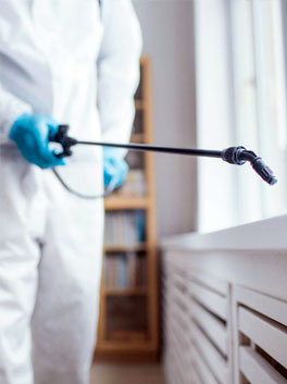 Pest Control Services